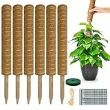 Pflanzen Rankhilfe Monstera Rankhilfe - Erweiterbar Pflanzhilfe Fuer Monstera 6PCS 42cm VerläNgerbar Up To133cm Kokosstab Plant Moosstab Pflanzstab Support Rankhilfe Zimmerpflanzen Plant Support Stick