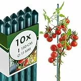 KADAX Pflanzstäbe 150 cm x 11 mm, 10er Set – Beschichteter Stahl Rankstab, Pflanzenstütze & Tomatenstäbe für Garten, Wetterfest & Stabil
