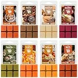 Salubrito Herbst Duftwachs für Duftlampe, 100% Natürliches Wax Melts Sojawachs, Wax Melts für Kerzen Wärmer, Kürbisgewürz, Zimt, Herbsternte und Mehr Düfte, Geschenk Set für Frauen