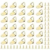 50 Stück Bildaufhänger mit 50 Schrauben,Bilderhaken zum nageln,Bilderrahmen Sortier Haken,Aufhängung,Bild Rahmen Haken Kit Bilderrahmen Aufhänger für Haus Büro Foto Bild Malerei Hängen (Golden)