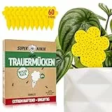 Super Ninja Trauermücken Bekämpfen - 60er Pack, hochwirksame Gelbtafeln für den Innenbereich, gelbe Klebefalle für Pflanzen, ungiftig und umweltfreundlich, gelbsticker 3 Monate verwendbar