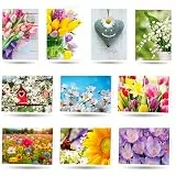 50 Grußkarten Blanko Kunst Foto mit Umschlag, Klappkarten 17x12 cm