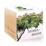Feel Green - WE CREATE NATURE 297920 Feel Green Ecocube Seidenakazie, Nachhaltige Geschenkidee (100% Eco Friendly), Grow Your Own/Anzuchtset, Pflanzen Im Holzwürfel, Made in Austria