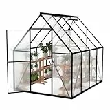 FIVMEN Gewächshaus Aluminium Gartengewächshäuser mit 6 cm Fundament und 4 mm PC Platte Treibhaus Tomatenhaus Gartenhaus UV beständig Wetterfest für den Garten, 230x180x195 cm