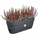 elho Vibia Campana Balkonkasten 50 mit Wasserreservoir - Blumentopf Balkon - 100% recyceltes Plastik - Ø 49.0 x H 17.0 cm - Schwarz/Anthrazit
