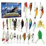 2025 Advent Calendar Fishing,Angelköder Adventskalender Angeln Weihnachtskalender,Fischer Adventskalender für Angler Männer (D)