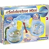 Clementoni Galileo 69350.4 - Salzkrebse Maxi, Entdeckerspielzeug
