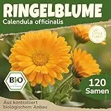 Little Plants BIO Ringelblume Samen 120 Ringelblumesamen Calendula Blumensamen Samenfest für Blumengarten Blumen Samen für Balkon und Garten