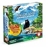 Piatnik 728099 - Waldland - Immergrün und Artenreich!