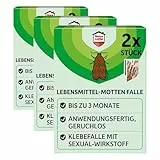 Nexa Lotte Lebensmittel-Mottenfalle, 2 Stück, geruchlose, insektizidfreie Klebefalle (Packung mit 3)