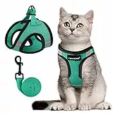FAYOGOO Katzengeschirr mit Leine Set Ausbruchsicher Verstellbar Brustgeschirr für Katzen und Kitten Soft Harness mit Klettverschluss Katzenleine Schleppleine