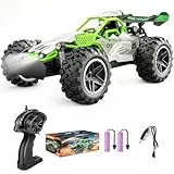 Pmgud Ferngesteuertes Auto, 2,4 GHz 1:18 Proportional 2WD 20+ km/h Hobby Offroad Monster RC Truck, wasserdichte RC Truggy RTR Geländegängig Spielzeug - Grün