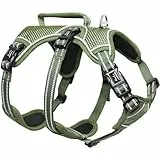 HEELE Hundegeschirr, Ausbruchsicher, Schnalle im Halsbereich, Reflektierend, Brustgeschirr mit Robuster Griff, Panikgeschirr Hund, Hundegeschirr Stabilen Eindruck, Passt wie Angegossen, Grün, M