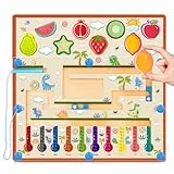 RunHero Montessori Spielzeug Labyrinth Holz Magnetspiel Sortierspie Steckspiel Holzspielzeug Holzpuzzle für ab 3 4 5 6 7 8 Kinder