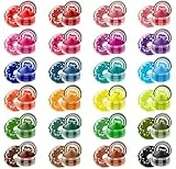 Lebensmittelfarbe Pulver - 24 Hochkonzentrierte Lebensmittelfarben, Leuchtendes Lebensmittel Farben für Torten, Macaron, Fondant, Kochen, Zuckerguss, Buttercreme, Kekse - 2 g (Jede)