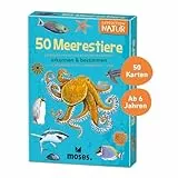 Moses. Expedition Natur - 50 Meerestiere, Entdeckerkarten zur Bestimmung von Tierarten, Outdoor-Spielzeug für Kinder ab 6 Jahren