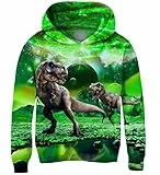 AIDEAONE Pullover Jungen Kapuzenpullover für Jungen Hoodie Dinosaurier Sweatshirt Kinder Jungs 11-14 Jahre(XXL)