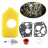 Hztyyier Motore Briggs, Vergaser Membrandichtungssatz Luftfilter Zündkerzensatz für Kleinmotoren 281028 495770 795083 694394 494408 ersetzen