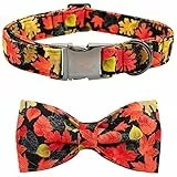 Elegant little tail Hundehalsband mit Schleife – Herbst Hundehalsband Ahornblatt Schleife Mädchen Junge Haustierhalsband Geschenk Weiche Hundefliege Halsbänder für mittelgroße Hunde