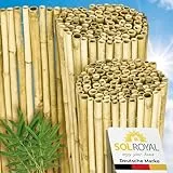 Sol Royal Hell Glänzend Premium Bambus Sichtschutz 180 hoch – Hochwertig Bambusrohre Ø2-3cm Witterungsbeständig – Bambuszaun Gartensichtschutz Balkon Sichtschutz Bambus Sichtschutzzaun 180x250cm – B99
