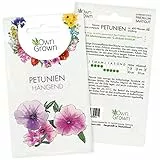 Petunie Samen: Premium Petunien Samen für ca 400 Petunien Pflanzen – Schöne Petunien Blumen Samen Balkon u. Garten Pflanzen – Blumensamen – Petunien Hängend Blumen Saatgut – Blumen für Balkon OwnGrown