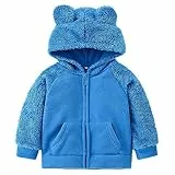 NANQUAN AMIYAN Bear Ears Shape Fleece Warm Hoodies Clothes Toddler Zip-up Light Jacket Sweatshirt Outwear For Baby Boys (Blue, 3-4T)