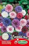 Germisem Kornblume FROSTY MIX EC1513 mehrfarbig