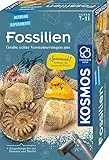KOSMOS 657918 Fossilien Ausgrabungs-Set, Grabe echte Versteinerungen und Bernstein selbst aus, mit Hammer und Meißel, Experimentierset für Kinder ab 7 Jahre
