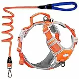 ThinkPet No-Pull Hundegeschirr, Atmungsaktiv Brustgeschirr für Kleine Mittlere Große Hunde, Einstellbar Weich Laufgeschirre Sicher Kontrolle Gepolstert Reflektierendes Sicherheitsgeschirr