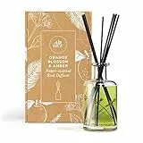 Air Wick Lufterfrischer Schilfrohrdiffusor, Orangenblüte und Bernstein
