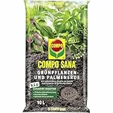 COMPO SANA Blumenerde für Grünpflanzen und Palmen, 12 Wochen Nährstoffversorgung, 10 Liter, COMPO SANA Grünpflanzenerde und Palmenerde