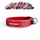 EzyDog Hundehalsband für Große, Mittelgroße, Mittlere & Kleine Hunde - Halsband Hund Neopren Gepolstert, Wasserfest, Reflektierend (XL, Rot)