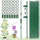 (100PCS) Pflanzenstütze, Pflanzen Stab, 20 Stück Pflanzenhalter, mit 30 Karabinern Ausgestattet, mit 10 Verlängerungsrohren, Pflanzenstangen, Ranghilfe, Rankstäbe für Pflanzen,Tomaten,Orchideen