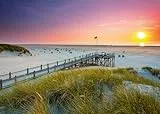 Ravensburger Puzzle 12000690 - Sonnenuntergang über Amrum - 1000 Teile Puzzle für Erwachsene und Kinder ab 14 Jahren, Puzzle mit Strand-Motiv