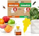 Super Ninja Fruchtfliegenfalle & Trauermücken Bekämpfen Kombi – 2 Obstfliegenfallen für Küche + 10 Gelbtafeln gegen Trauermücken, Nematodenfrei, Nicht-Toxisch, Bis zu 3 Monate Schutzg