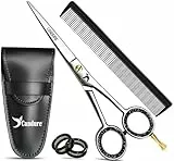 Candure Friseurschere 6,5 Zoll Professionelle Haarschneideschere mit Kamm & Lederetui für Friseure, Barbier, Männer, Frauen & Kinder - Edelstahl Haarschere für Salon & Zuhause
