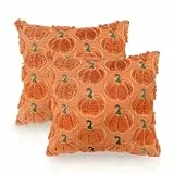 GADITIEK 2 Stück Herbst Kissenbezüge 45 x 45 cm Kürbis Herbst Kissen Autumn Decor Fall Zimmer Deko Aesthetic, Herbst Bettwäsche Aesthetic Decor (Goldrandkürbis)