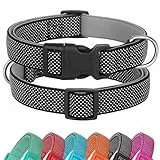 Didog Reflektierendes Hundehalsband mit Schnalle, verstellbar, weiches Neopren, gepolstert, Nylon, Haustierhalsbänder für kleine, mittelgroße und große Hunde, Schwarz, M