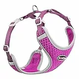 ThinkPet No-Pull Hundegeschirr, Atmungsaktiv Brustgeschirr für Kleine Mittlere Große Hunde, Einstellbar Weich Laufgeschirre Sicher Kontrolle Gepolstert Reflektierendes Sicherheitsgeschirr