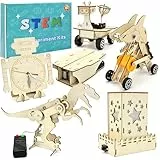 FEMBW Experimente für Kinder ab 8 9 10 11 12 13 14, Kosmos Experimente Spielzeug Roboter, Experimentierkasten STEM Elektro Baukasten Holzbausatz Kinder für Geschenke ab 8-14 Jahre Jungen
