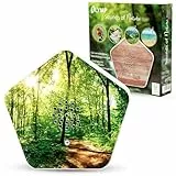 Olymp Sounds of Nature Box | Naturklänge für Entspannung & Ruhe | Soundbox mit Vogelgesang, Bachgeflüster, Bergwiesen, Meeresrauschen | Musikbox mit Bewegungssensor & individueller Lautstärkeregelung