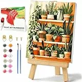 Daisen Art Plant Malen Nach Zahlen mit Rahmen und Box Paint By Numbers Adults Plant Malen Nach Zahlen Erwachsene Klein Einfach Als Geschenk Klein Bilder Dekoration für zu Hause 20x30cm