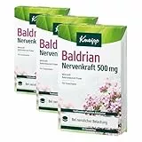 Kneipp Baldrian Nervenkraft 500 mg - Traditionelles pflanzliches Arzneimittel bei nervlicher Belastung und zur Unterstützung des Schlafes - 90 Filmtabletten (30 * 3)