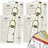 Käfer Pinot Grigio DOC, trocken, Bag-In-Box, sortenreines Weinpaket + VINOX Winecards (4x3,0l)