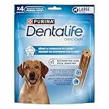 Dentalife PURINA Zahnpflege-Snacks für Kleine bis Große Hunde, Reduziert Zahnsteinbildung, 5er oder 36er Pack, 6 x 142 g