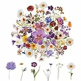 120 Transparente Scrapbooking Aufkleber, PET Blumen Aufkleber Pflanzen Sticker, Flower Stickers, Blumenaufkleber für Scrapbook Fotoalbum Sammelalbum Laptops Handwerk (60 Stile)