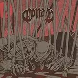 Evidence of Immortality