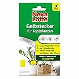 Nexa Lotte Gelbstecker, 10 St. - insektizidfreie, beidseitig beleimte Leimfallen zum Schutz von Zierpflanzen