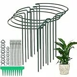 JIALWEN 8 Stück 25 x 40 cm Pflanzenstütze Ringkäfige, Garten Pflanzenpfähle Metall Halbrund Grüner Pflanzenstützen für Gemüse, Tomaten, Pfingstrosen, Rosen, Hortensien, Blumen