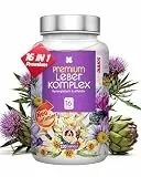 Sonnesee Premium Leber Komplex 16-in-1 hochdosiert mit Mariendistel Artischocke Alpha-Liponsäure Cholin Curcuma 120 Kapseln vegan für die Leber Testsieger